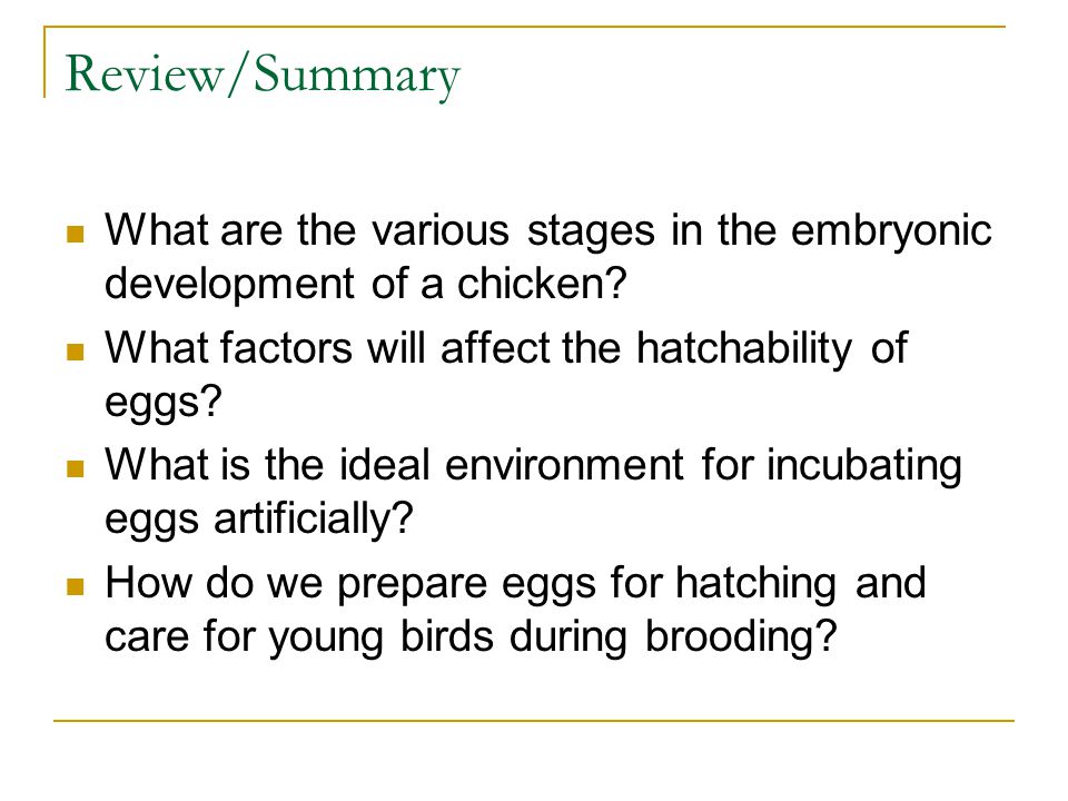 HATCHABILITY OF CHICKEN EGGS IN POULTRY BUSINESS MANAGEMENT | AFFECTING FACTORS AND REMEDIES